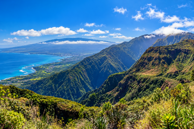 Maui's rugged mountains, coastline, and Pacific Ocean from a high-elevation viewpoint.