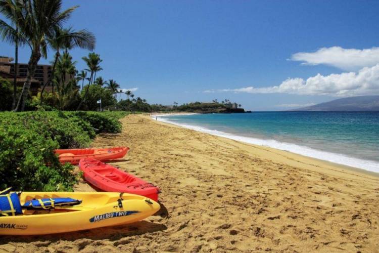 Best Beaches on Maui