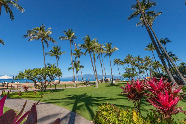 Top Tips and Tricks to Plan your Maui Vacation on a Budget