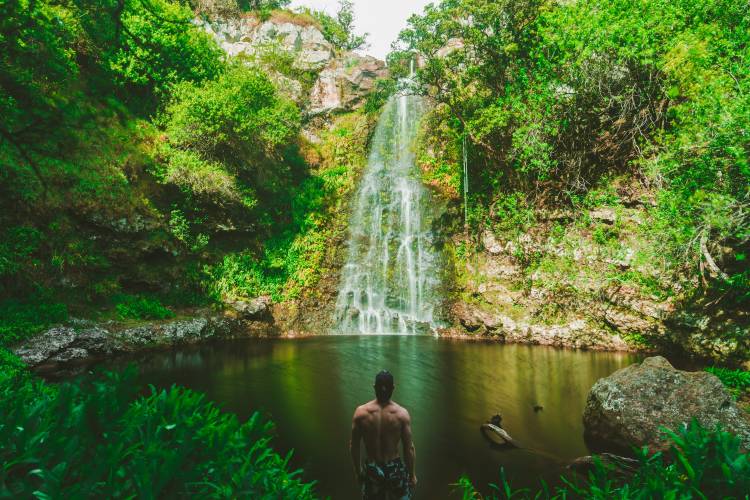 Hawaii Waterfall