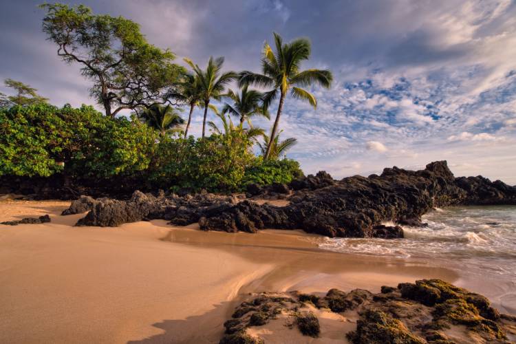 Hawaii beach