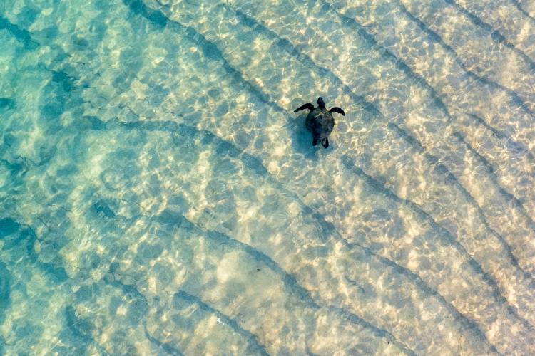 Why Maui Is the Perfect Place to Slow Travel