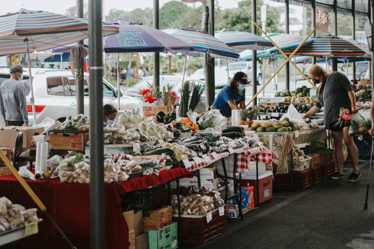 Support Local Hawaii Businesses