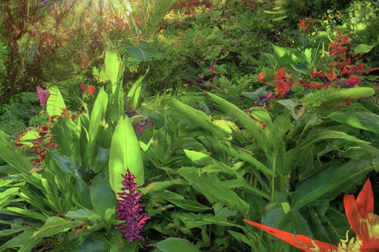 Sacred Garden of Maui, Hawaii