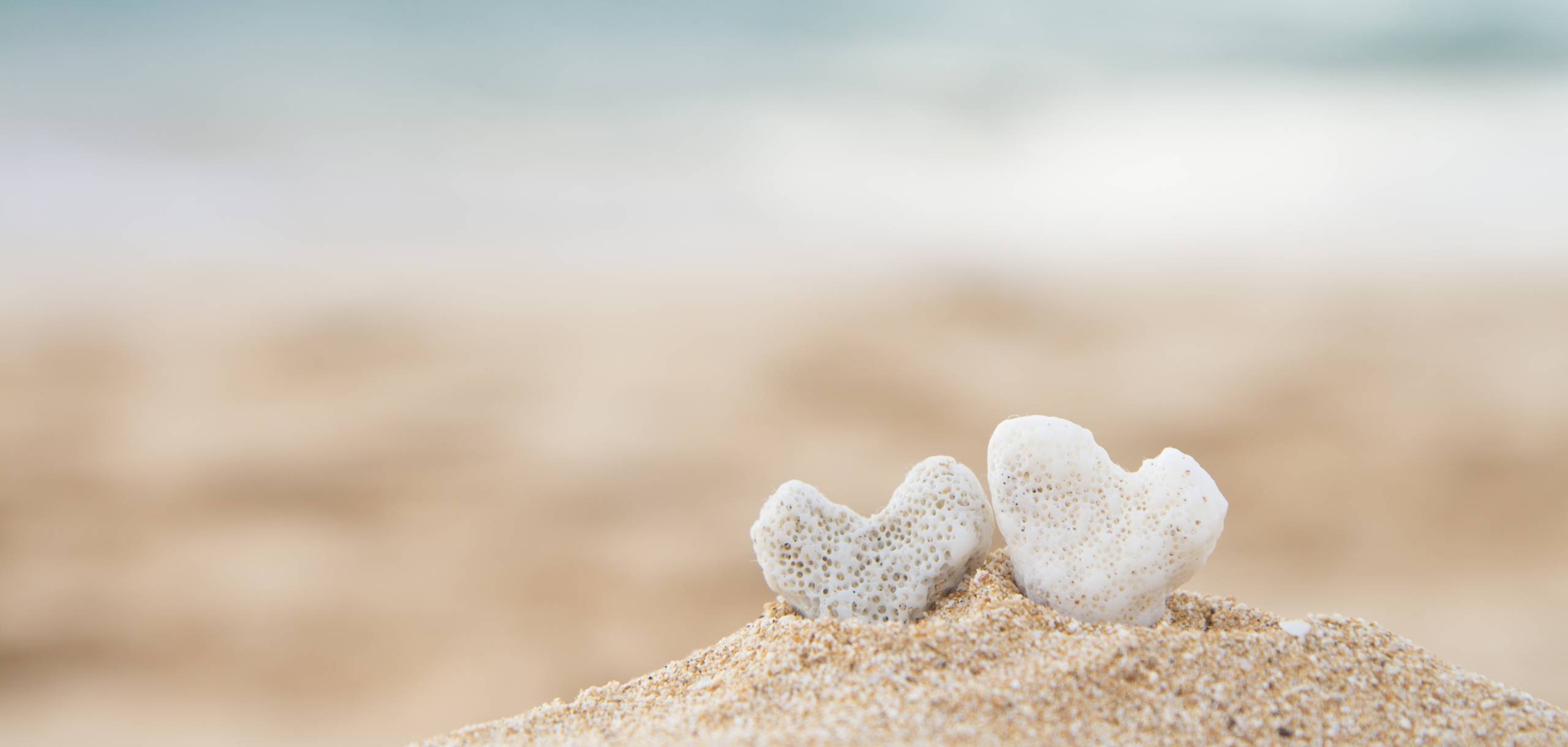 Kaanapali Beach Coral Hearts Kaanapali Beach Coral Hearts in the Sand
